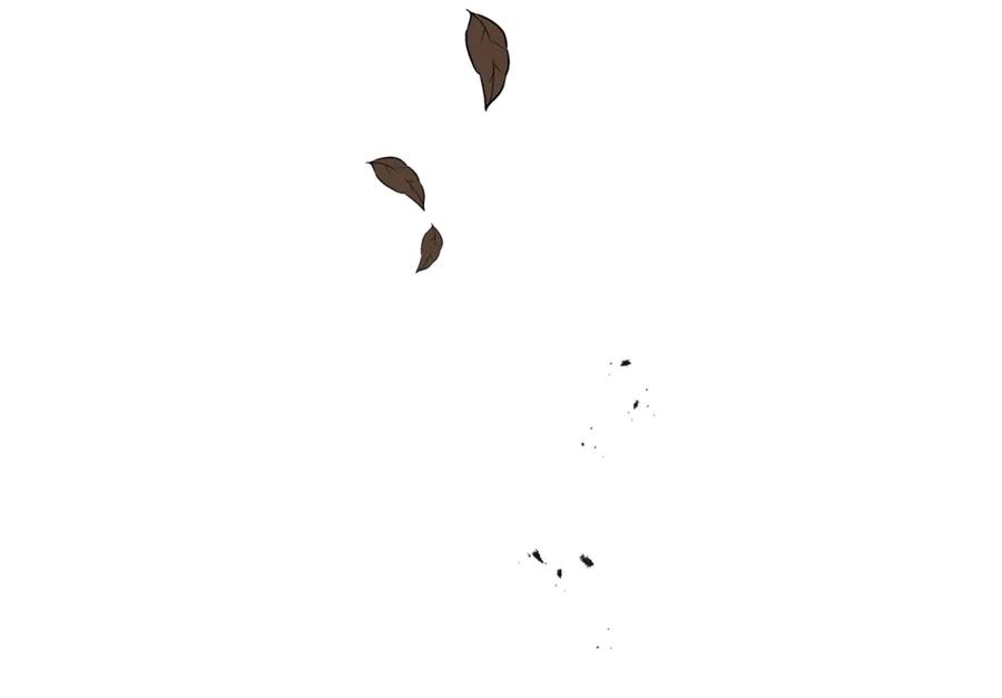 248.jpg