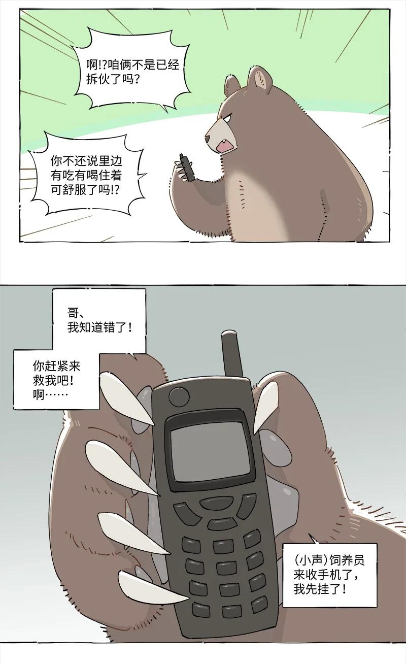 17.jpg