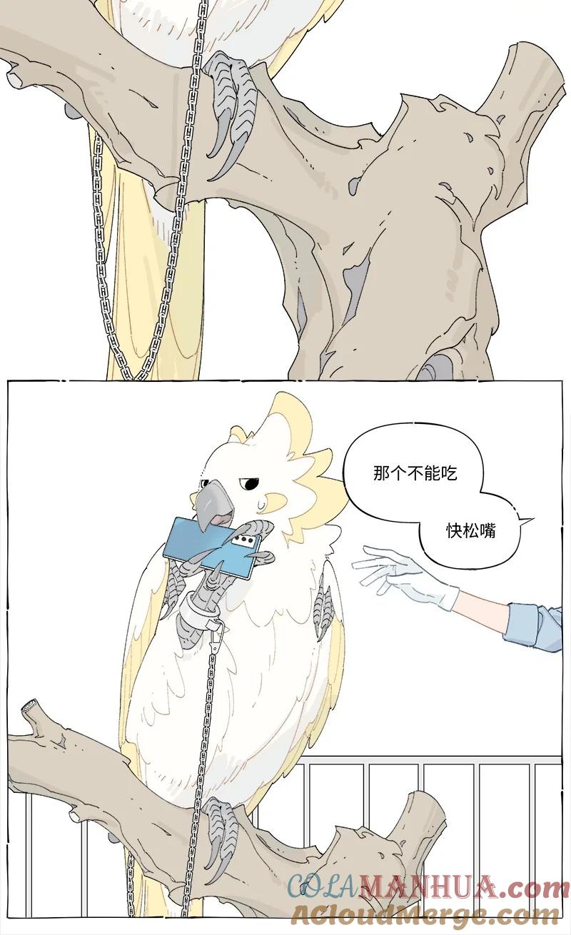 19.jpg