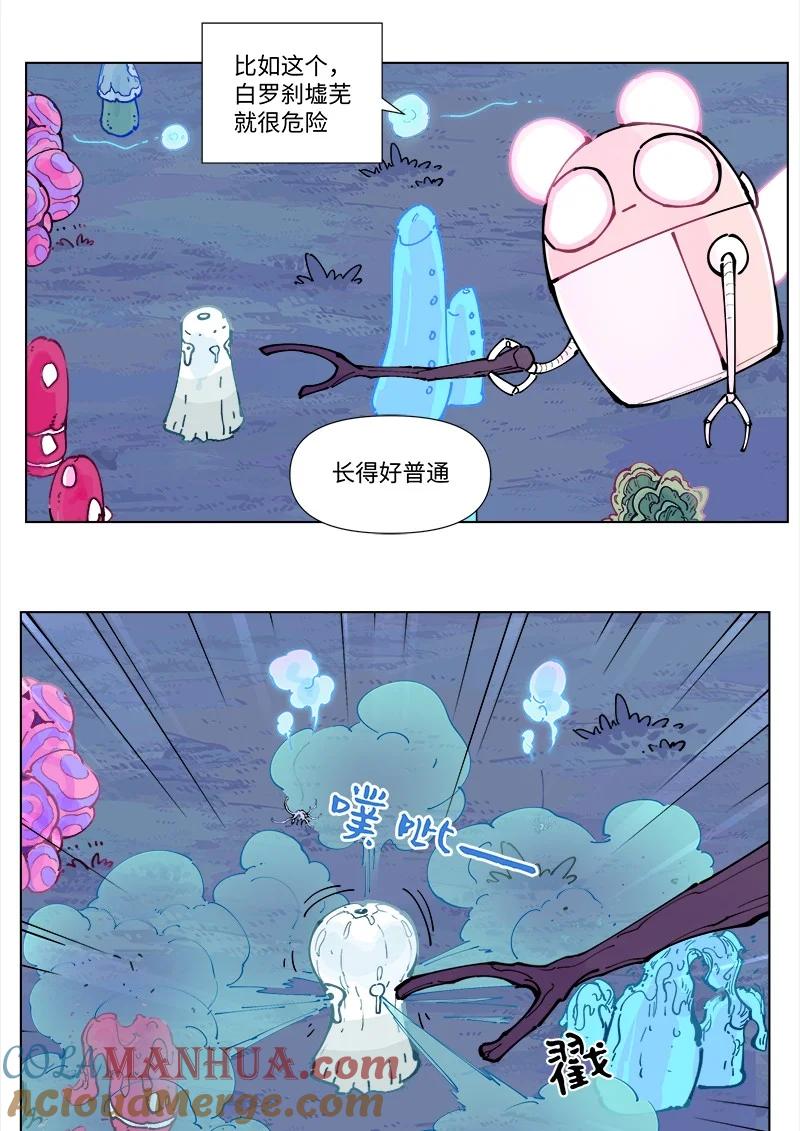 9.jpg