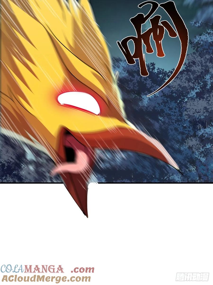 46.jpg