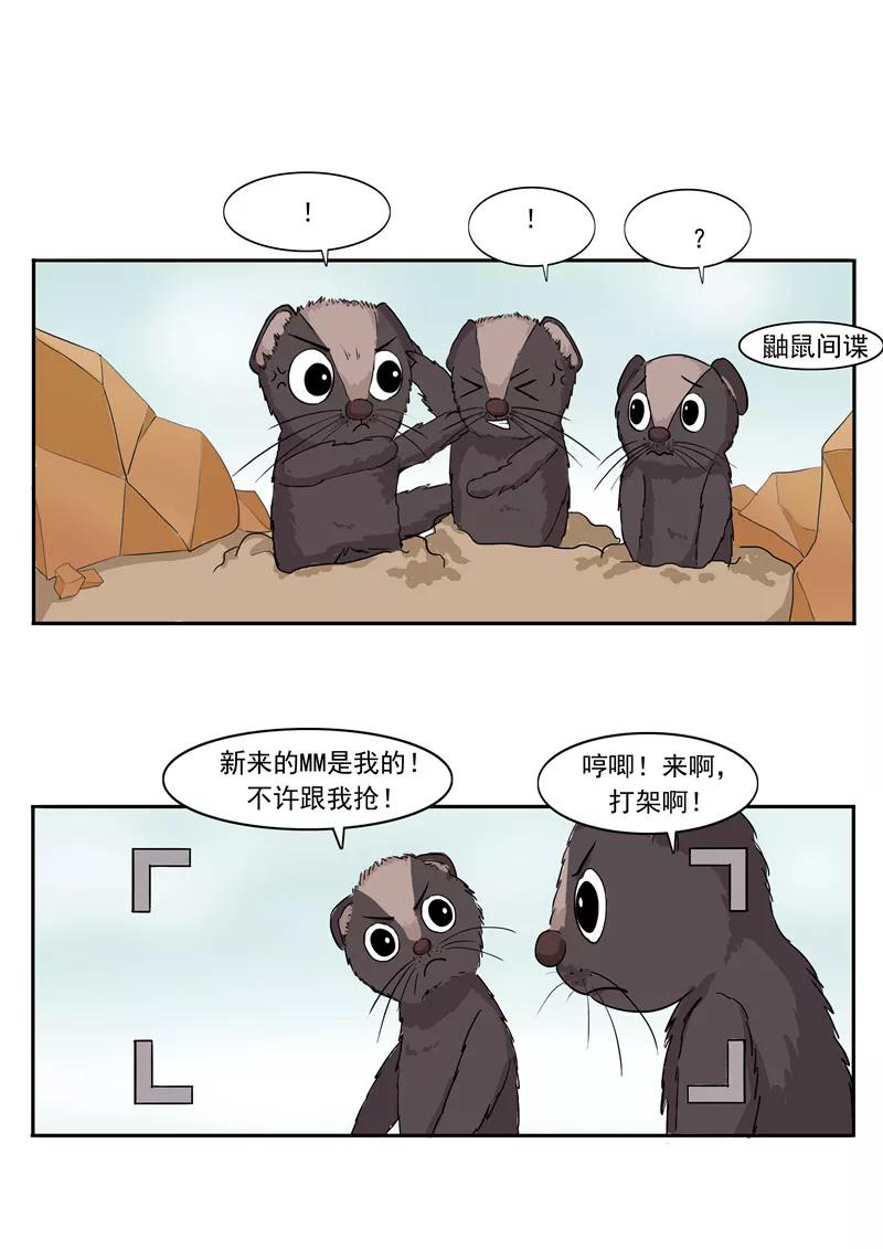 第44话动物世界-李泰和方小甜的平行世界-潇潇潇潇如（第16张）