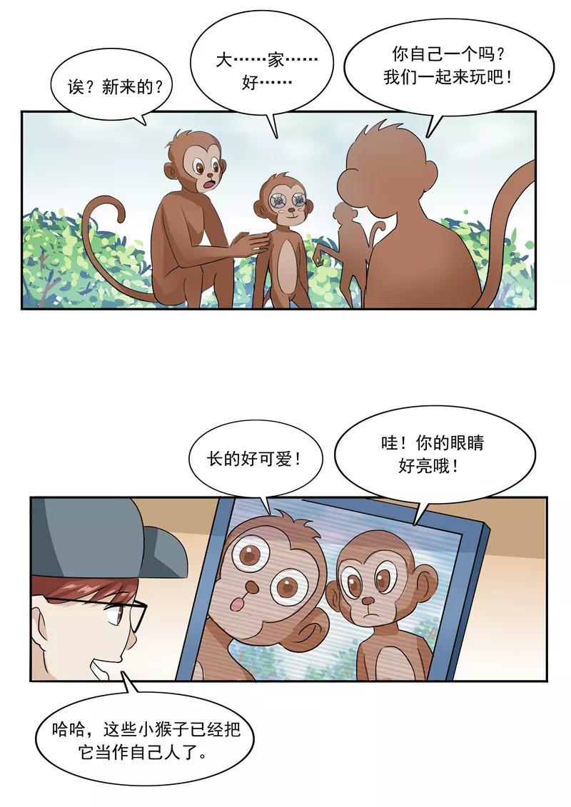 第44话动物世界-李泰和方小甜的平行世界-潇潇潇潇如（第14张）