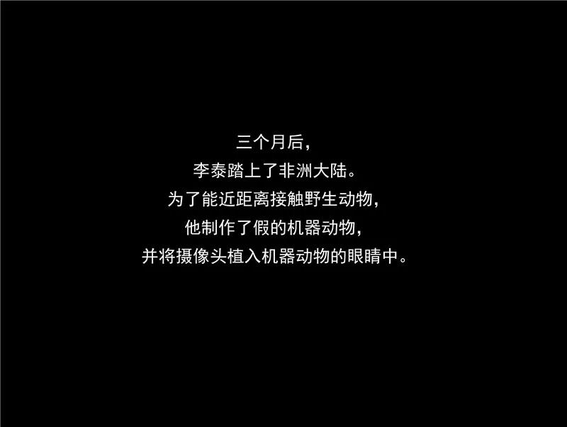 第44话动物世界-李泰和方小甜的平行世界-潇潇潇潇如（第12张）