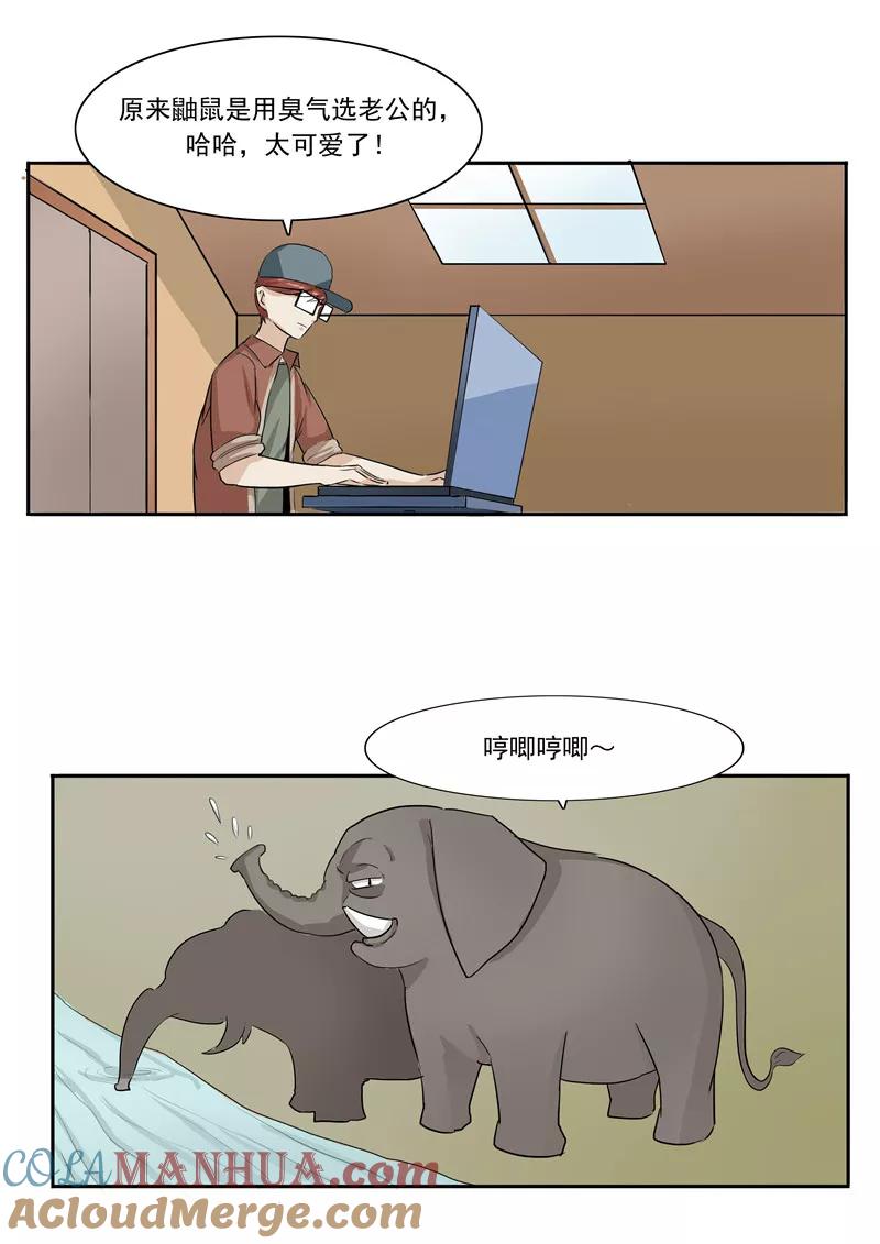 第44话动物世界-李泰和方小甜的平行世界-潇潇潇潇如（第17张）