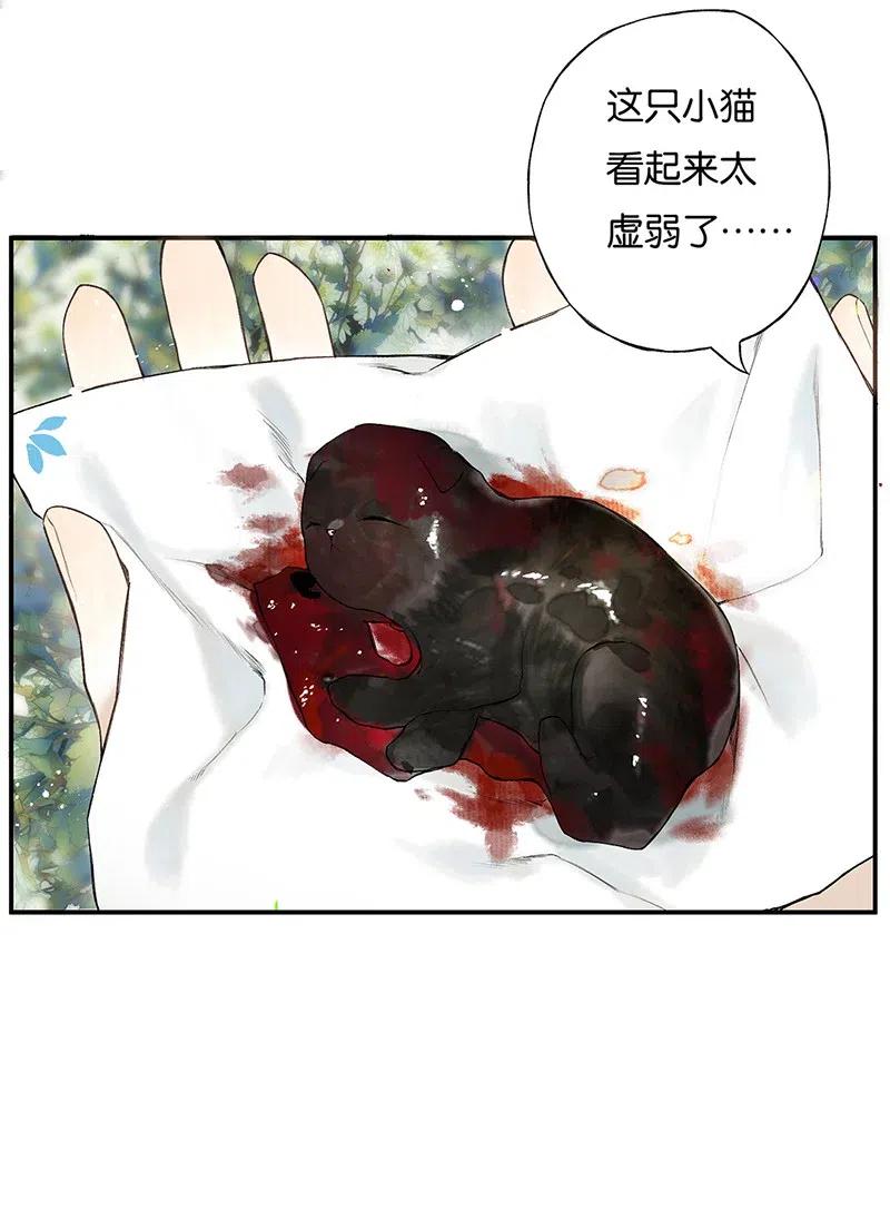 14.jpg