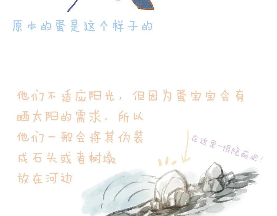 104.jpg