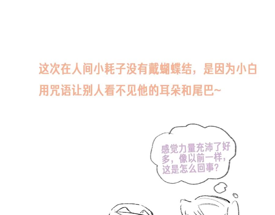 96.jpg