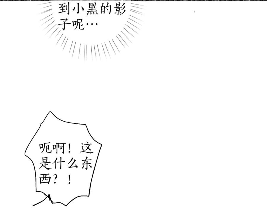 77.jpg