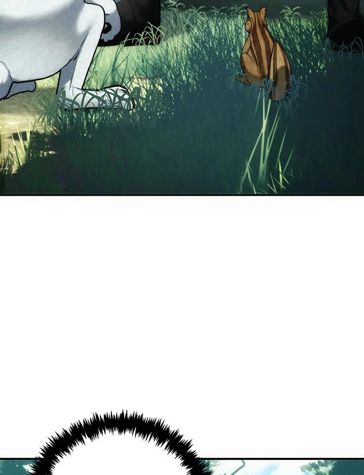 78.jpg