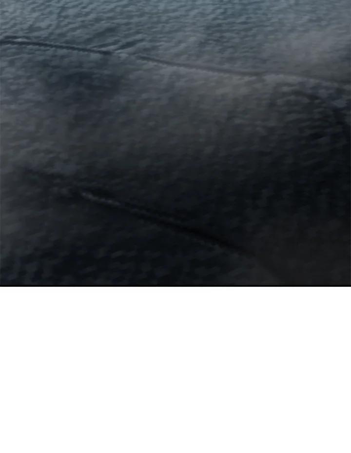 75.jpg