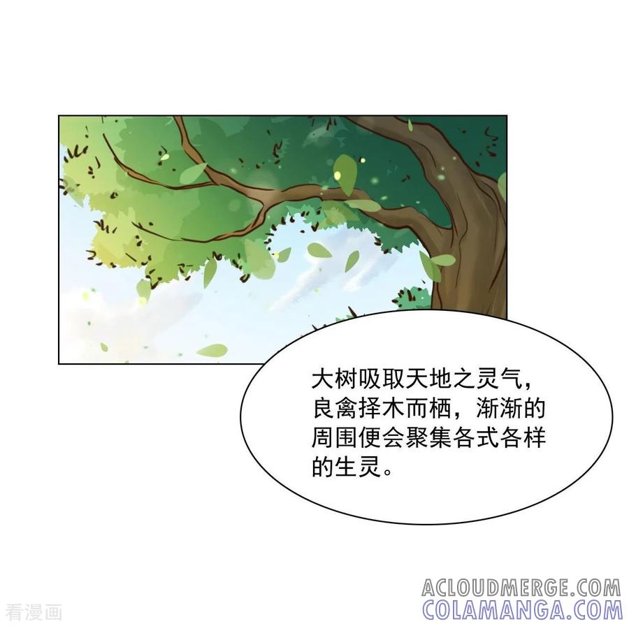 第127话-寿命师-C&C（第40张）