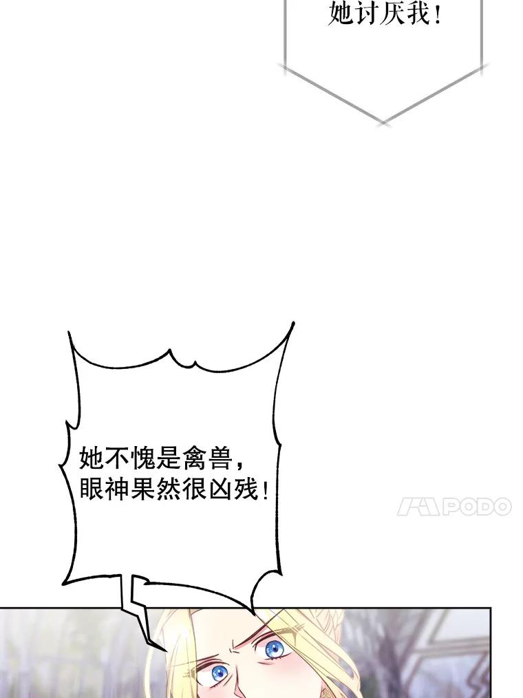 51.jpg