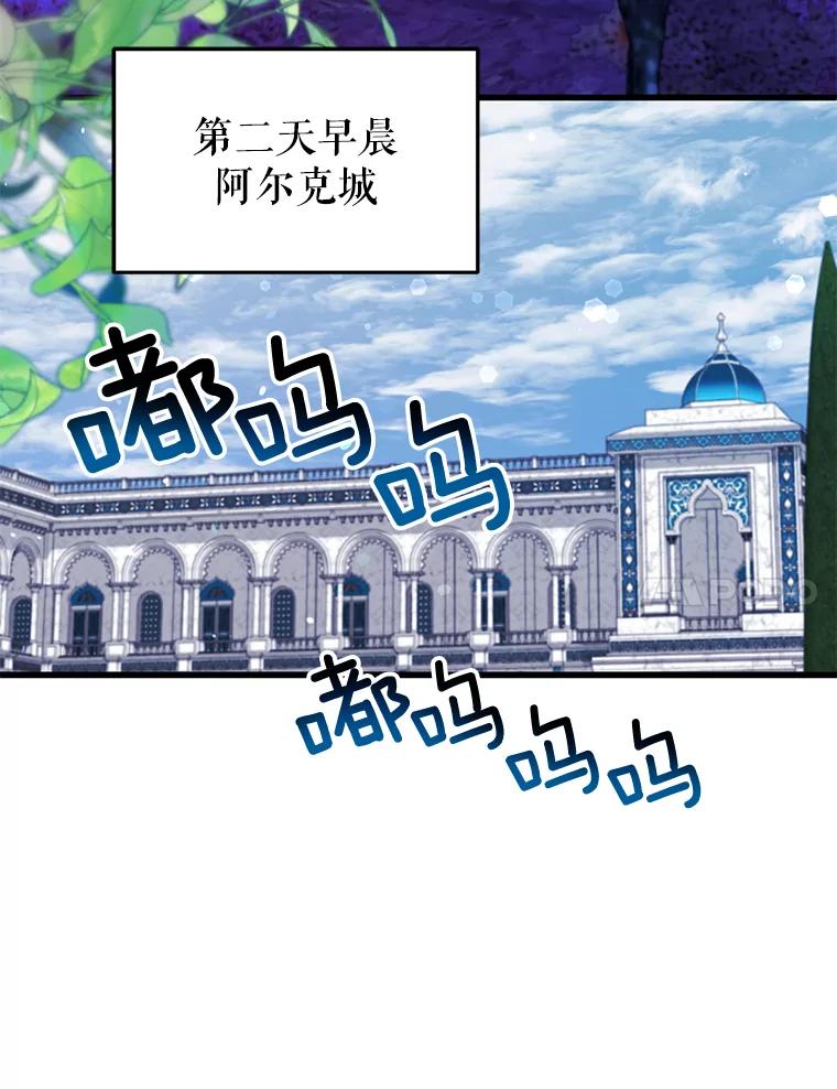 62.jpg