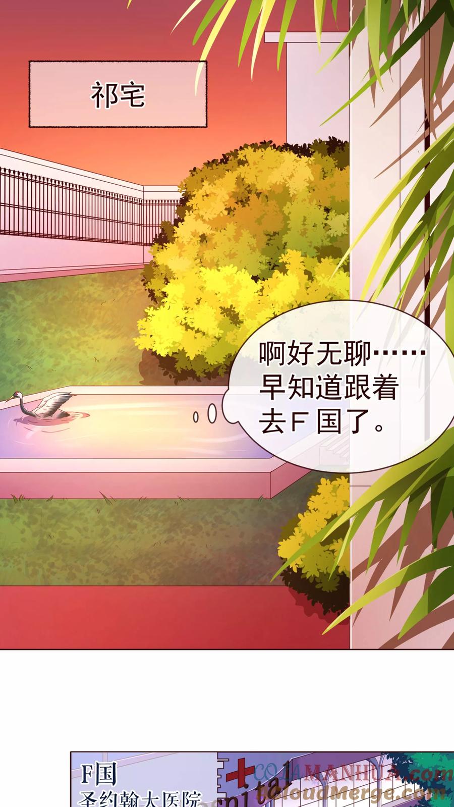 第76话生死-纯真总裁宠萌妻-二次元动漫（第10张）