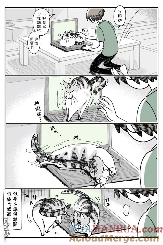 第23话-关于养猫我一直是新手-キュルZ（第1张）