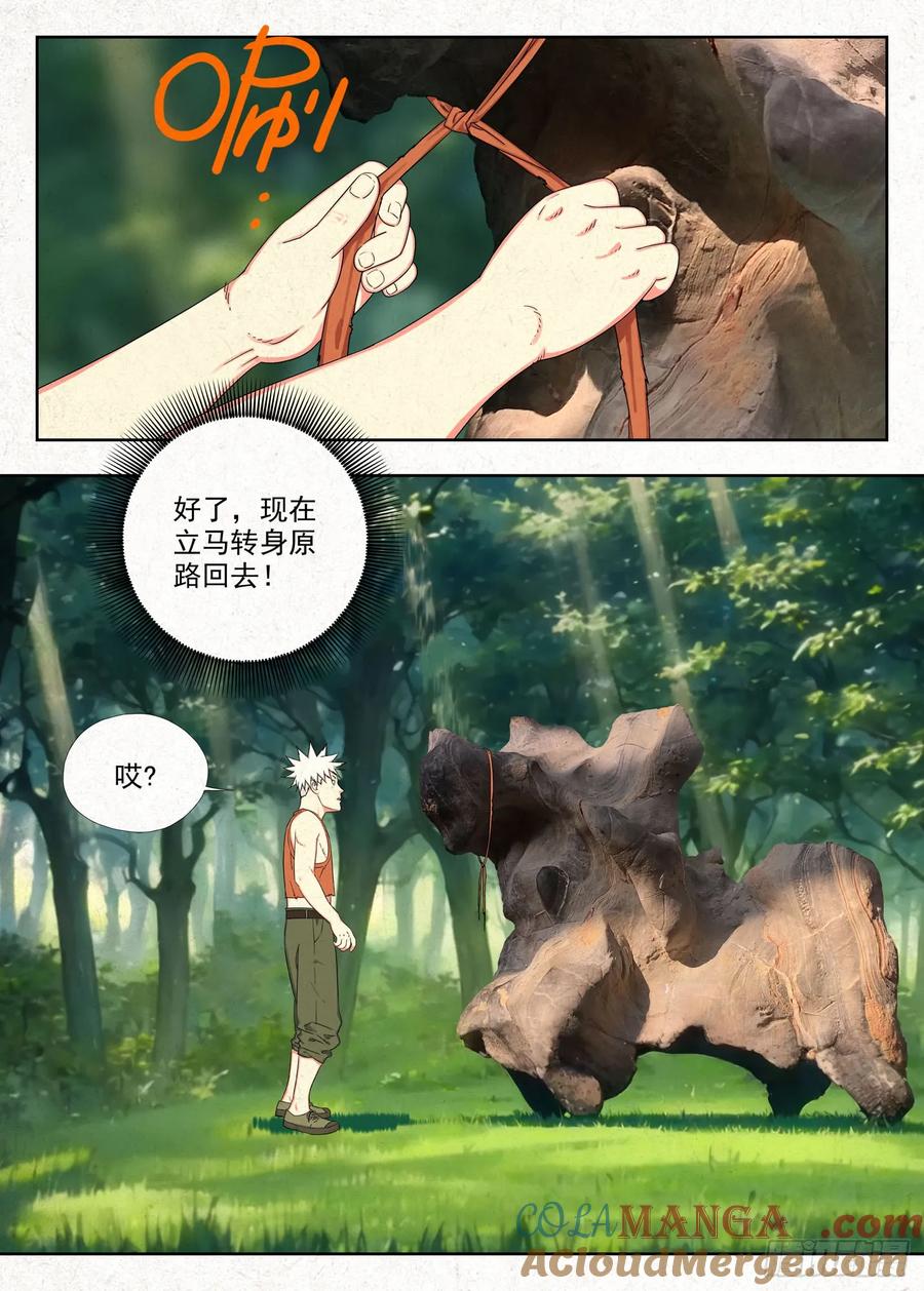 15.jpg