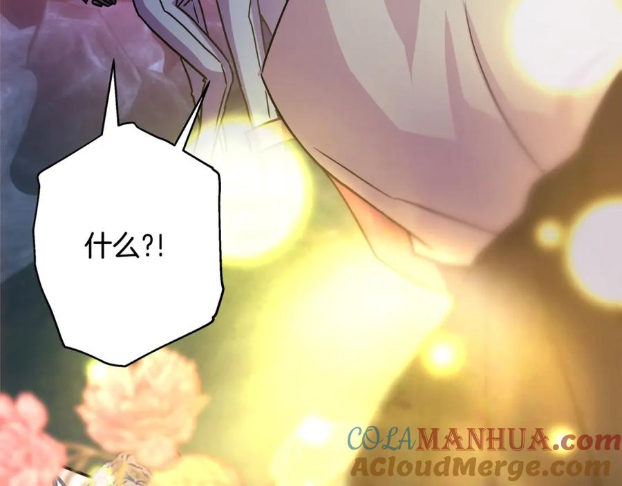 245.jpg