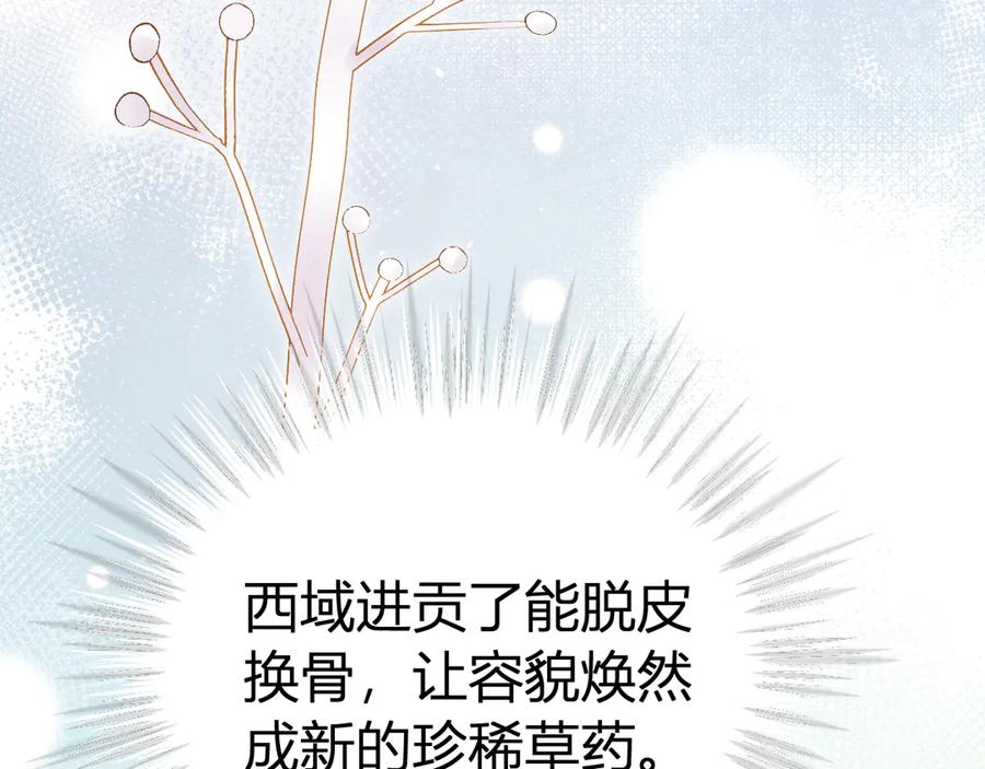 95.jpg