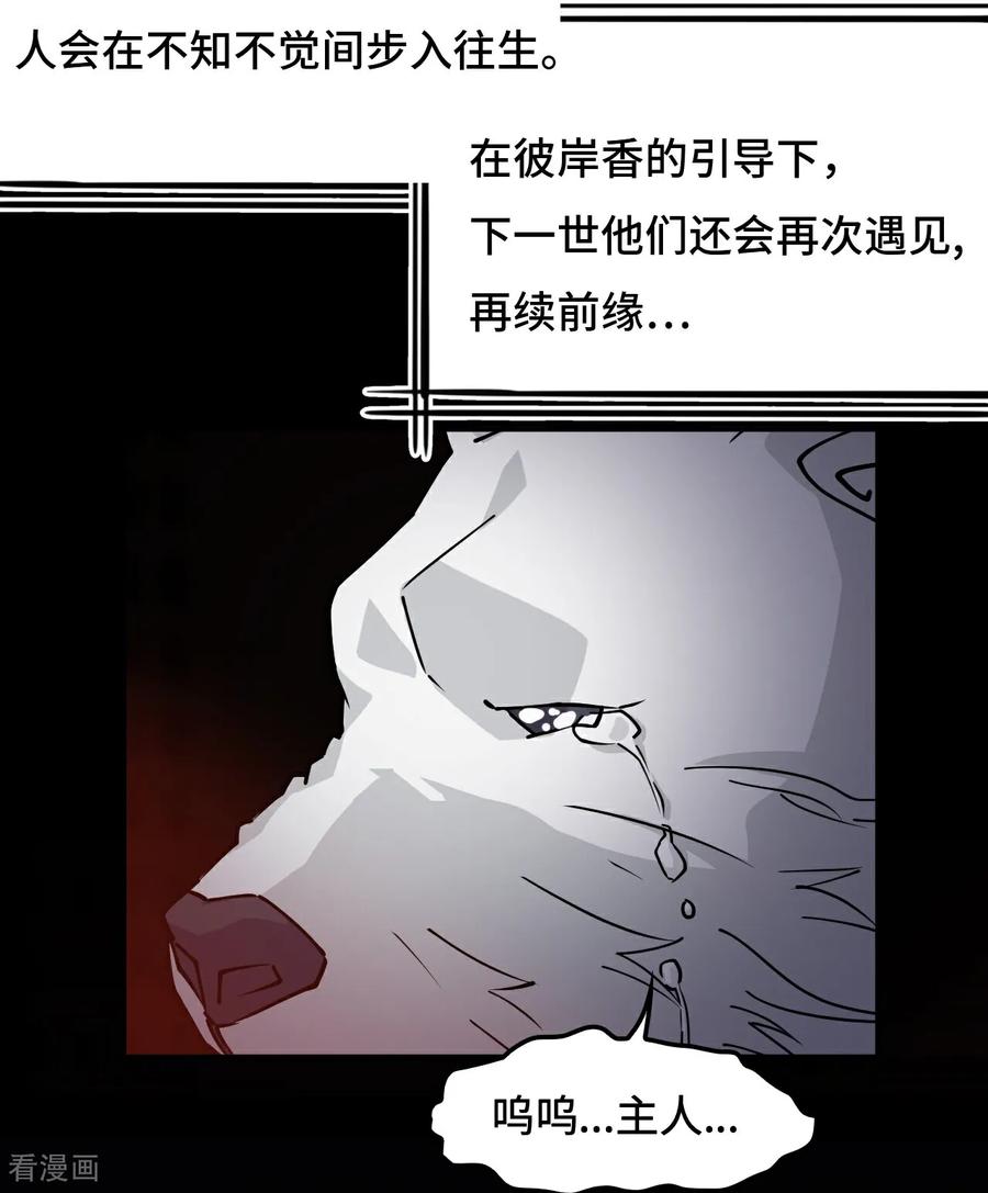 第59话彼岸香-龙战在野-星华文化（第16张）