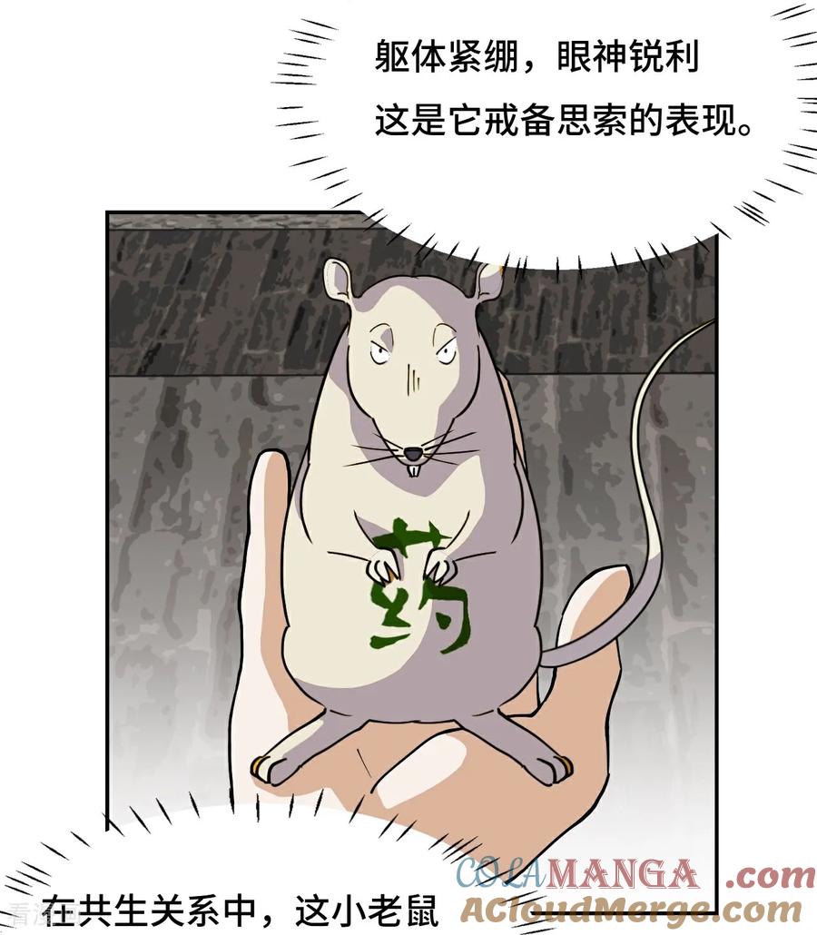 第70话共生流-龙战在野-星华文化（第13张）