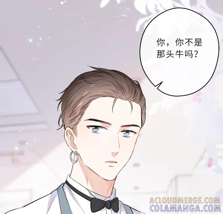 爱情去的快，来得更快-遇见织女的300天-张清明x夭夭（第70张）