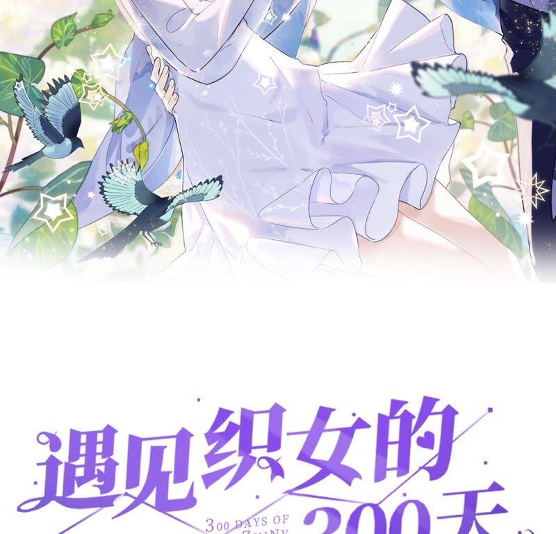 鹊桥上的美男-遇见织女的300天-张清明x夭夭（第2张）
