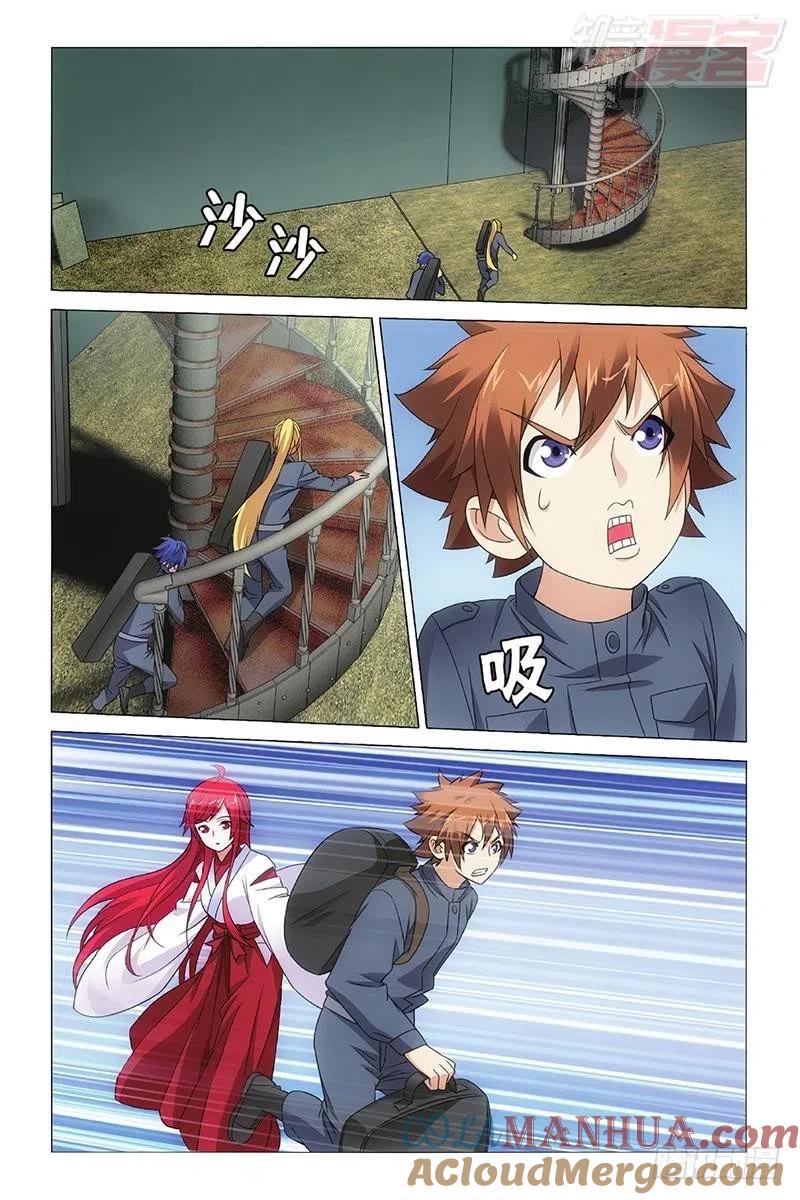 11.jpg