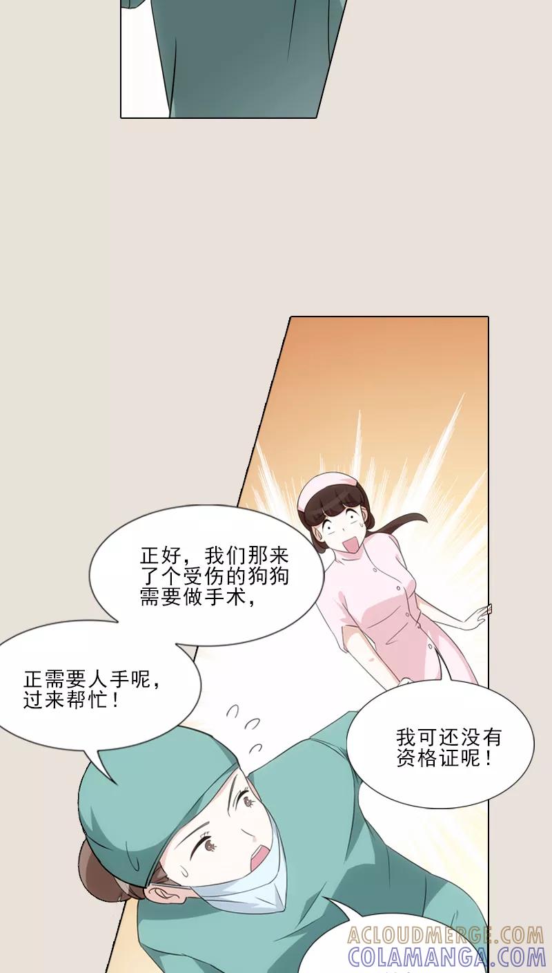 第10话-我不是你的宠物-漫喵（第21张）