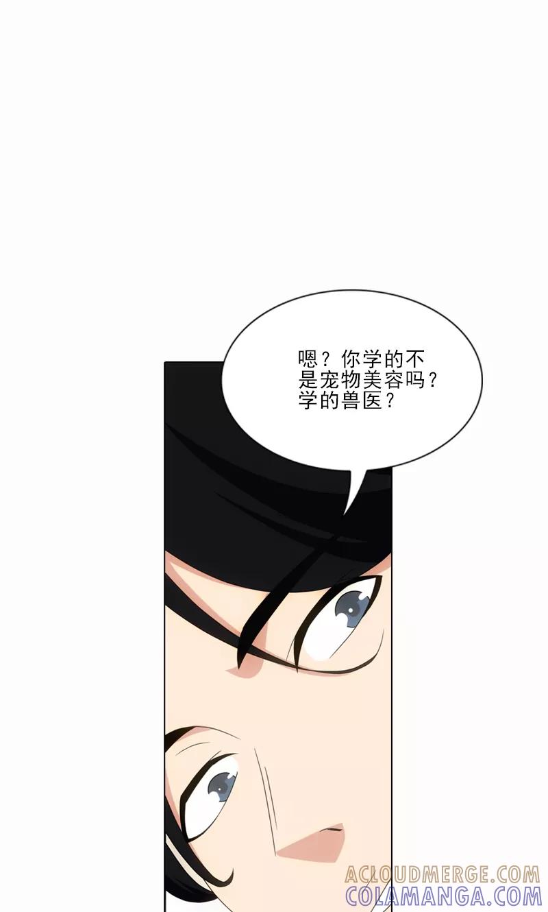 第11话-我不是你的宠物-漫喵（第13张）