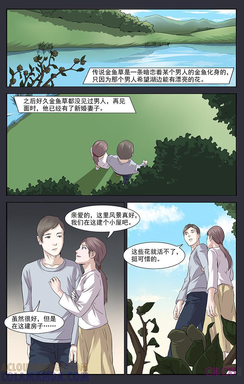 第26话：金鱼草-恋物癖 k-惊奇工场（第6张）
