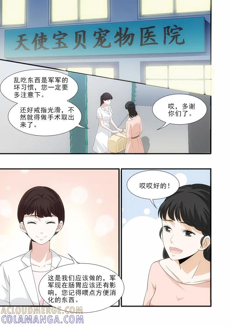 第42话-我不是你的宠物-漫喵（第2张）