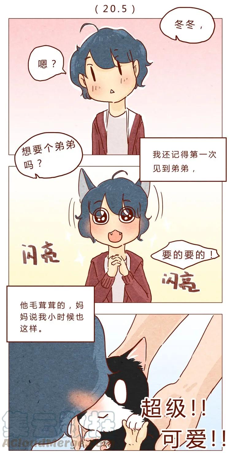 番外我弟弟超可爱的-喂，看见耳朵啦-特雷西胡,漫漫漫画（第1张）