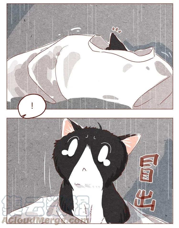 番外跟你很熟吗-喂，看见耳朵啦-特雷西胡,漫漫漫画（第5张）