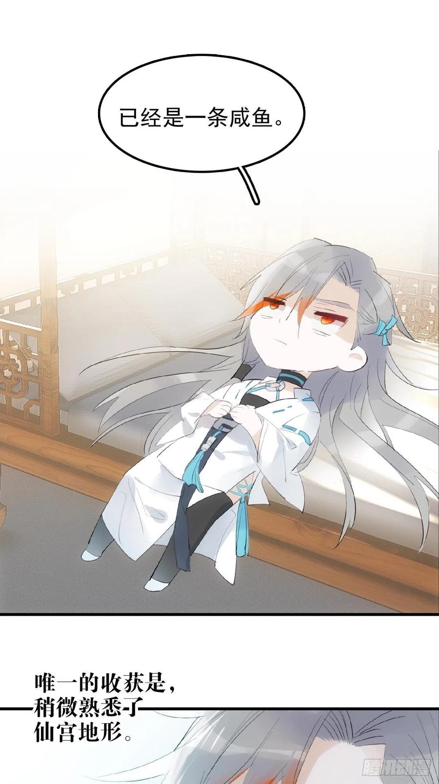 41.jpg