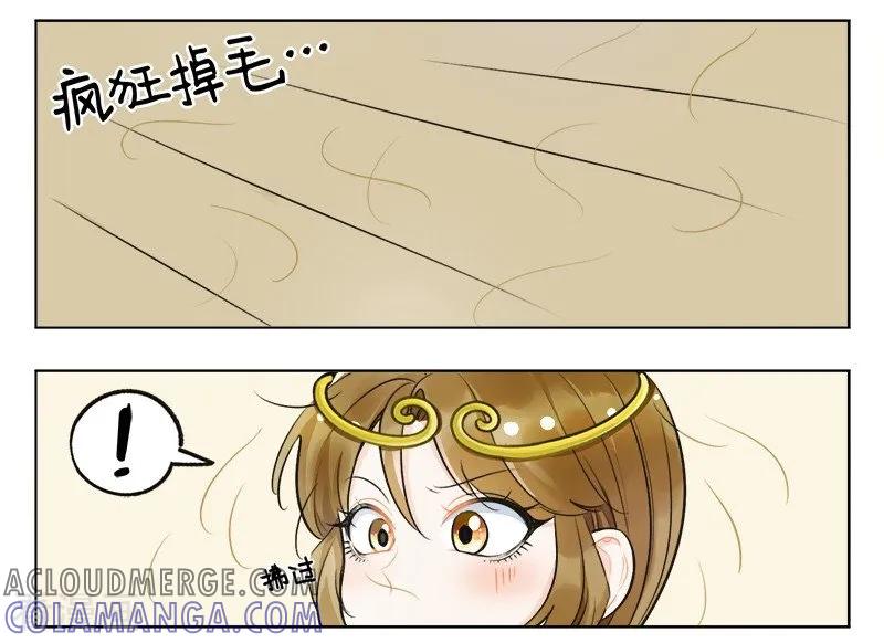 第135话掉毛猴1-中国娘-欢潮漫惟（第2张）
