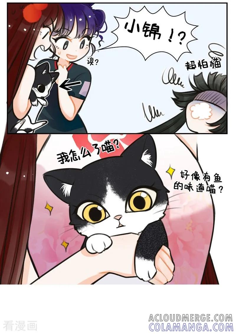 第150话怕猫的锦鲤-中国娘-欢潮漫惟（第5张）