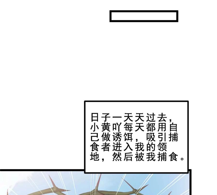 72.jpg