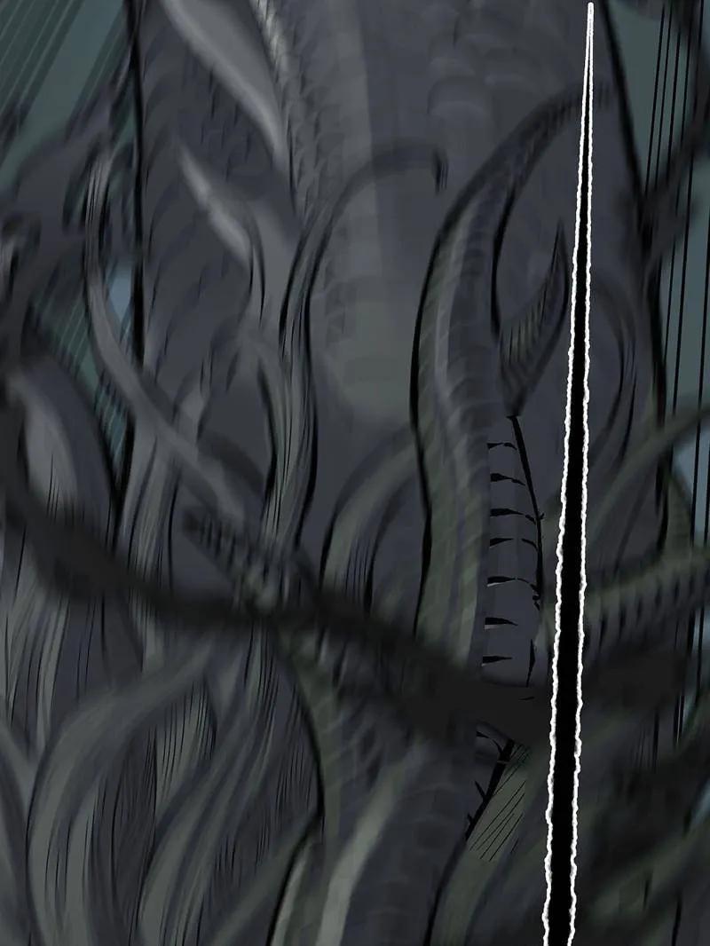 71.jpg