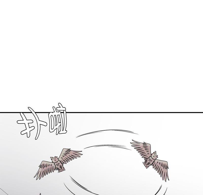 第67话摔倒-奇妙的动物高中-一漫文化（第23张）