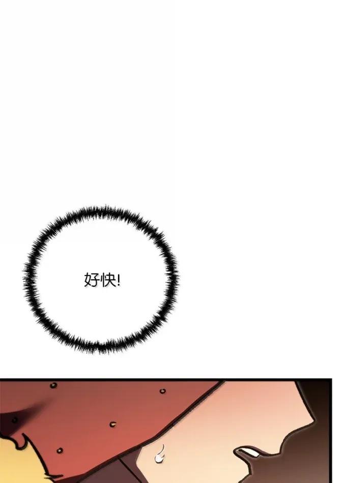77.jpg