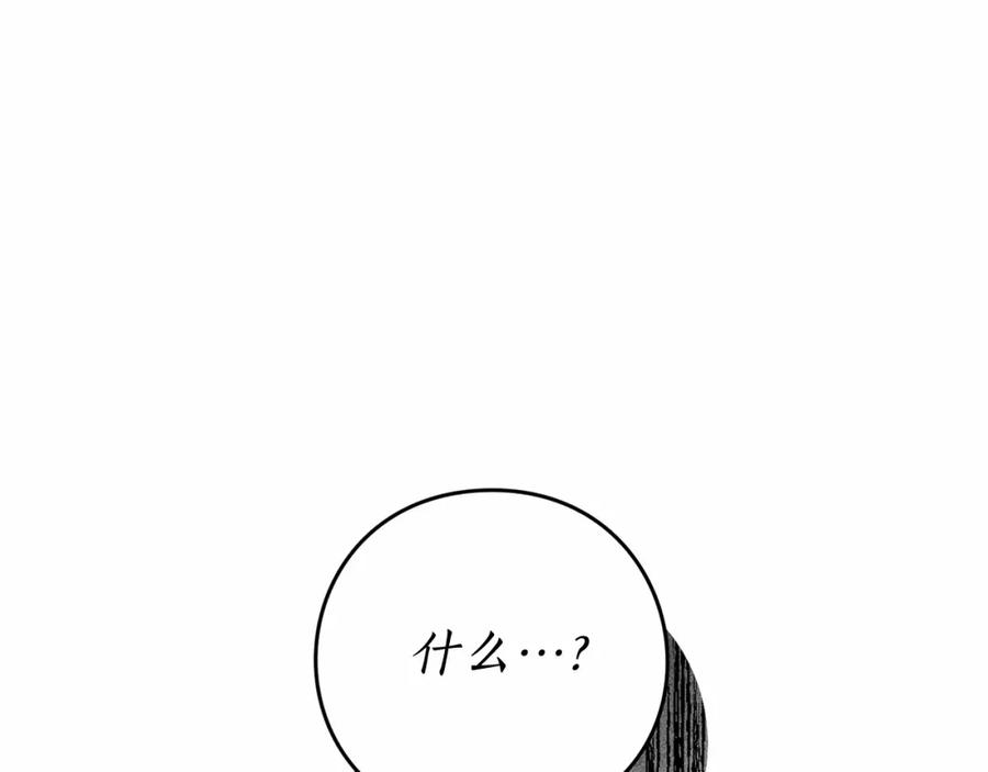 147.jpg
