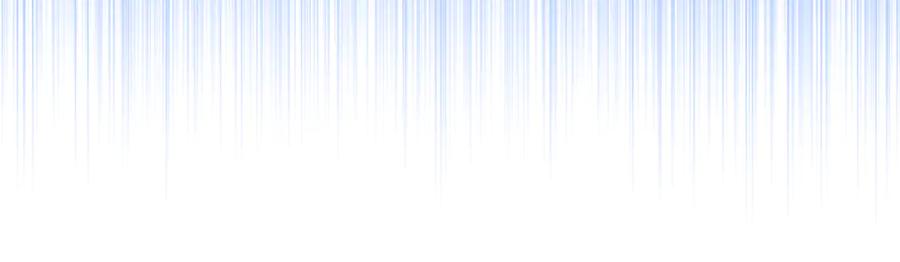 91.jpg