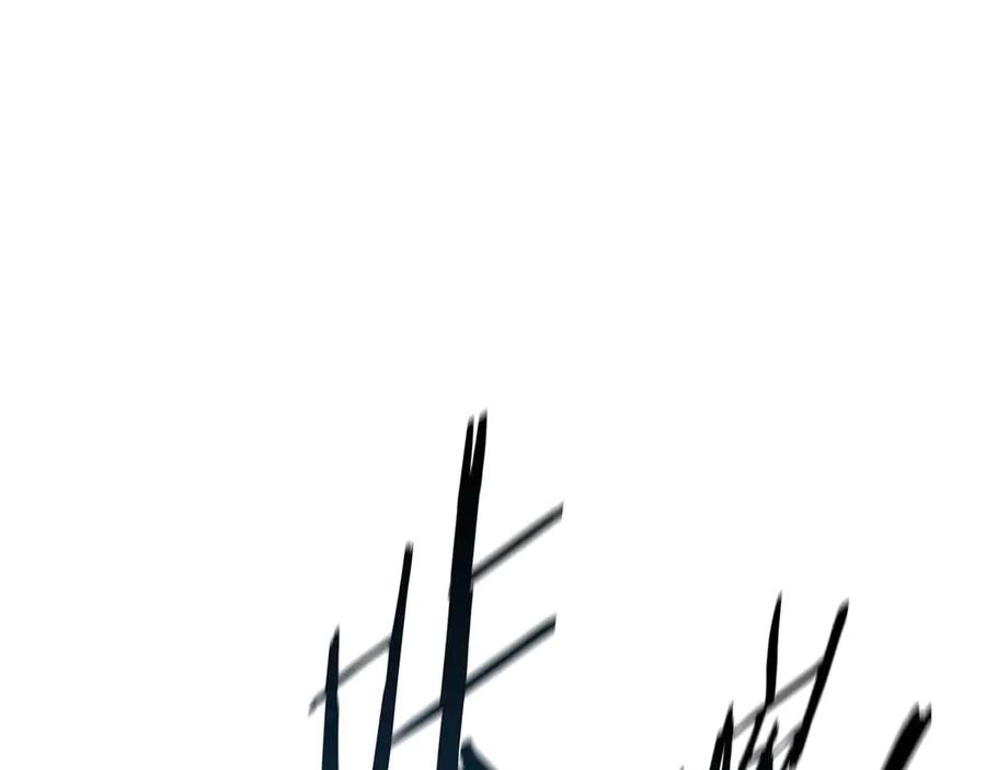164.jpg