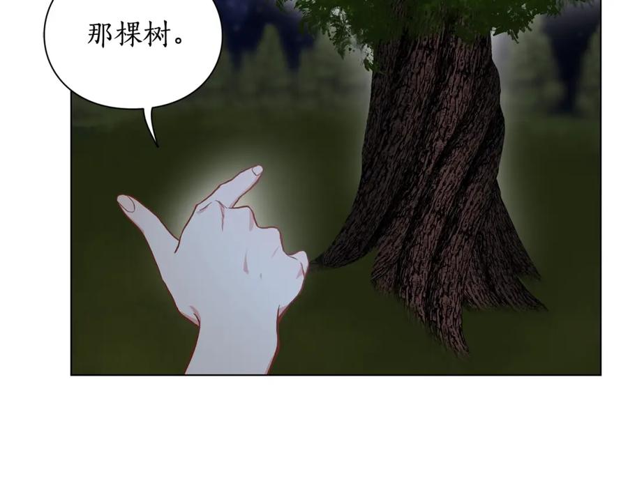 62.jpg