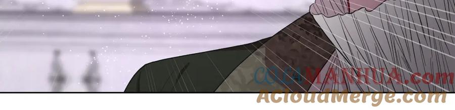 113.jpg
