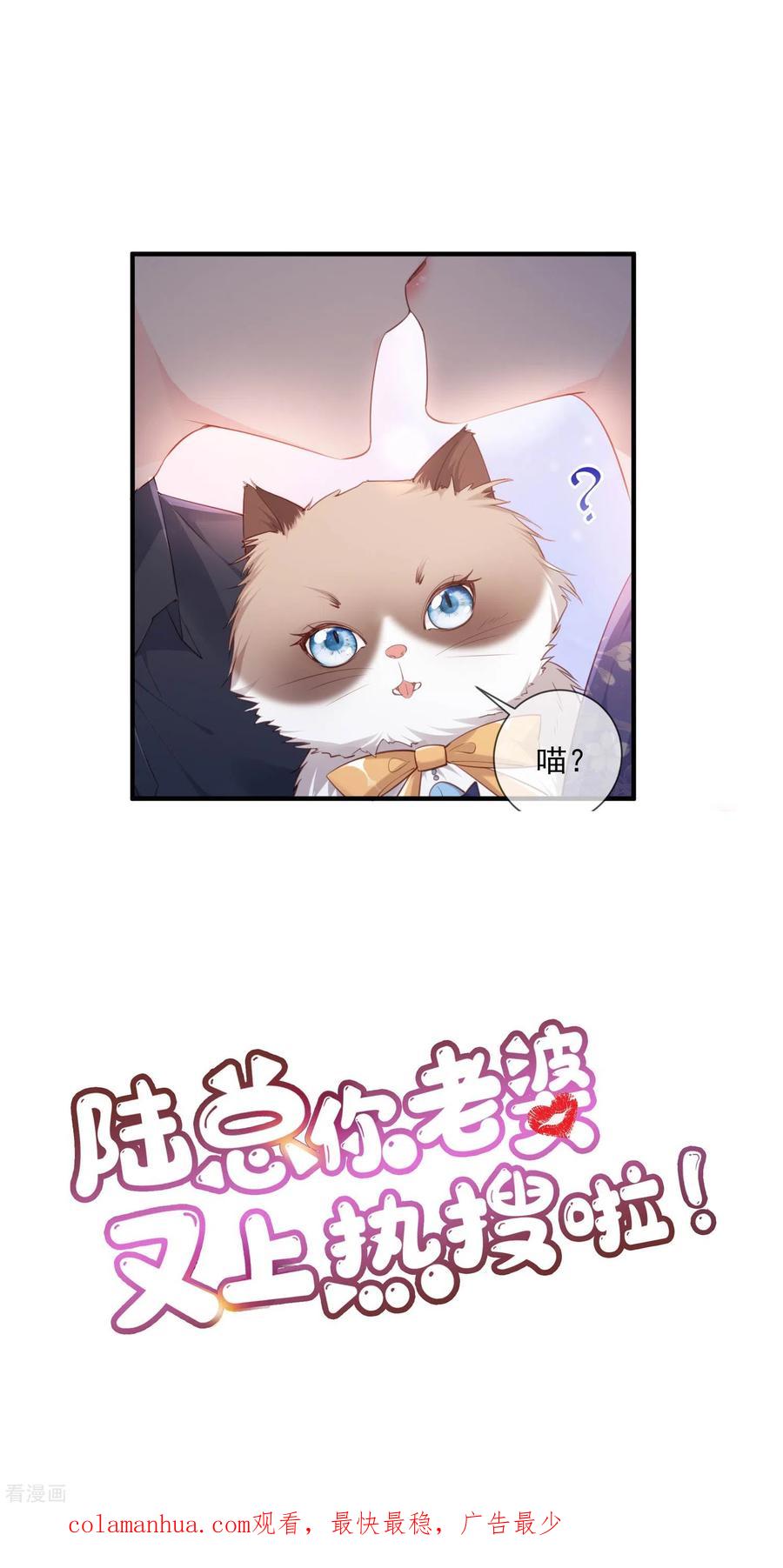 预告-陆总，你老婆又上热搜啦！-插电动漫（第22张）