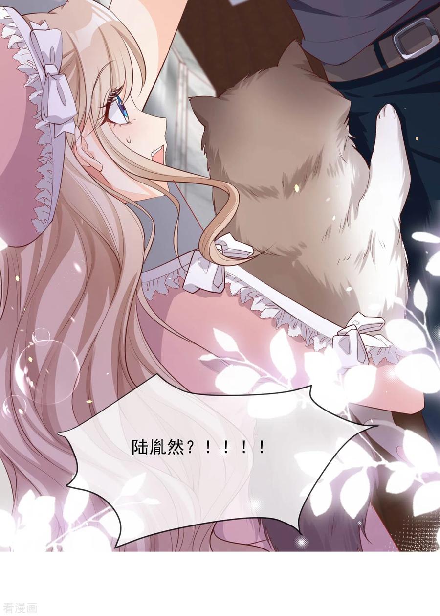 预告-陆总，你老婆又上热搜啦！-插电动漫（第20张）