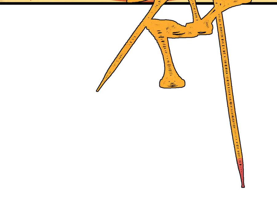 147.jpg