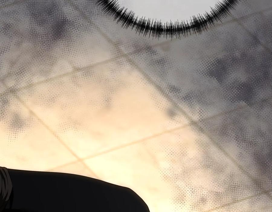260.jpg